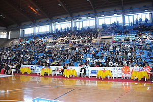 tribuna